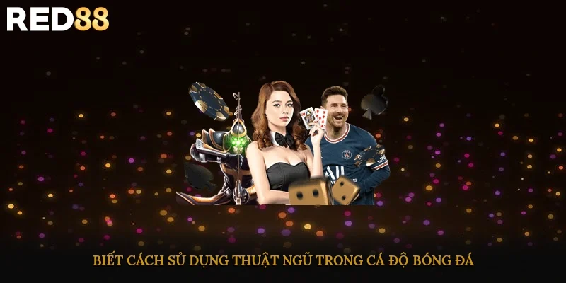 Biết cách sử dụng thuật ngữ trong cá độ bóng đá