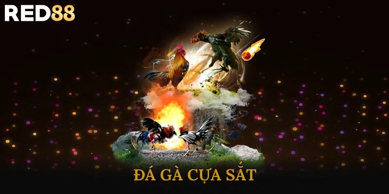 Đá Gà Cựa Sắt