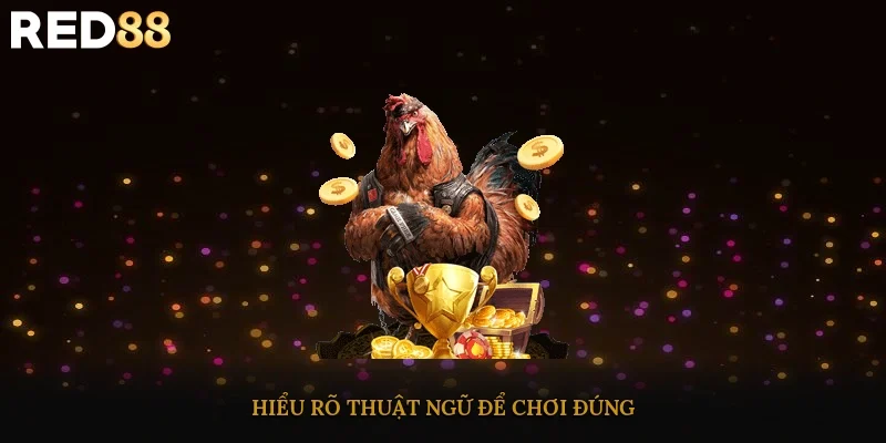 Hiểu rõ thuật ngữ để chơi đúng