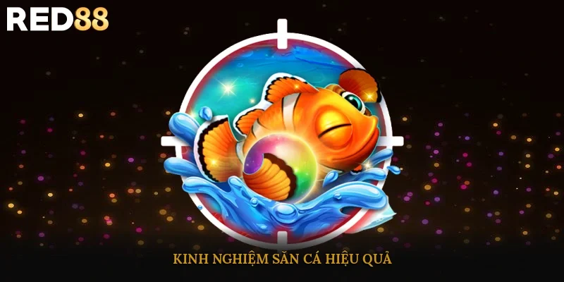 Kinh nghiệm săn cá hiệu quả
