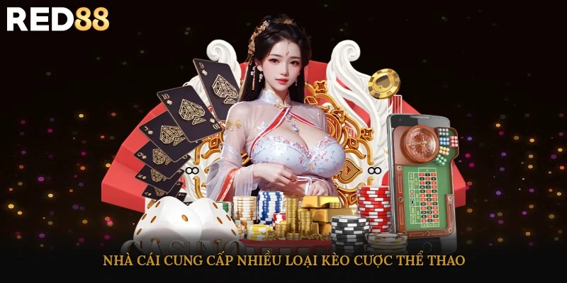 Nhà cái cung cấp nhiều loại kèo cược thể thao