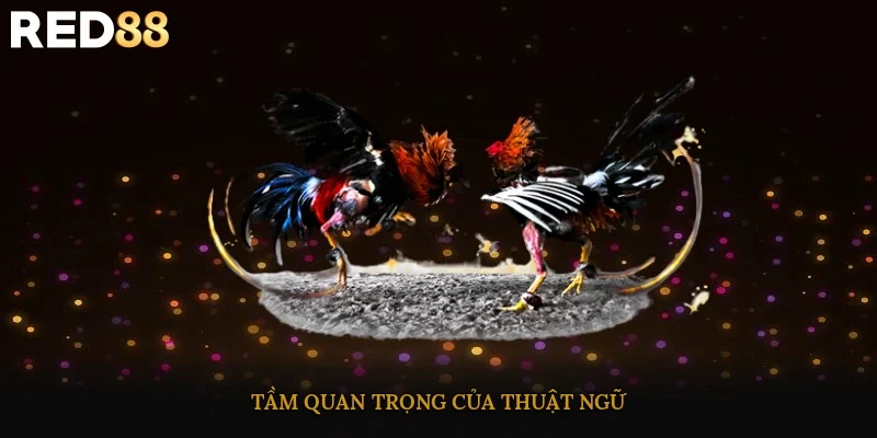 Tầm quan trọng của thuật ngữ