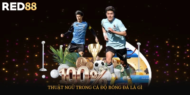 Thuật ngữ trong cá độ bóng đá là gì?