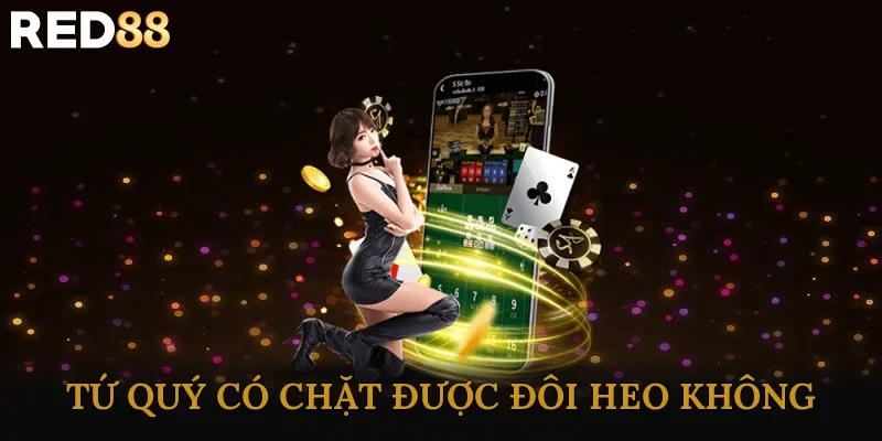 Tứ Quý Có Chặt Được Đôi Heo Không