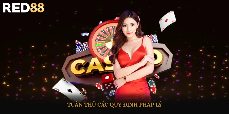 Tuân thủ các quy định pháp lý
